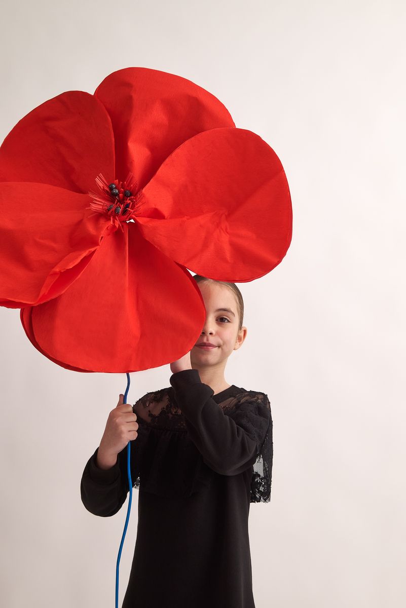 Engraved Flowers Lace Frill Dress - Black