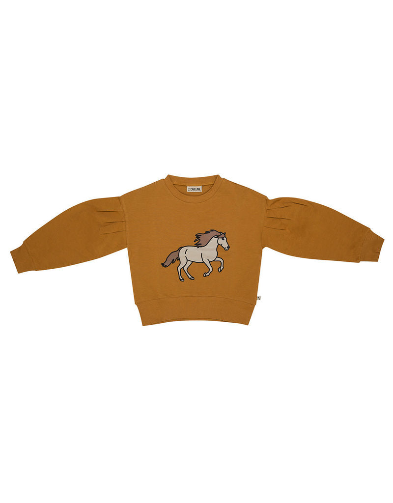 Wild Horse Sweater - 1-2 Years