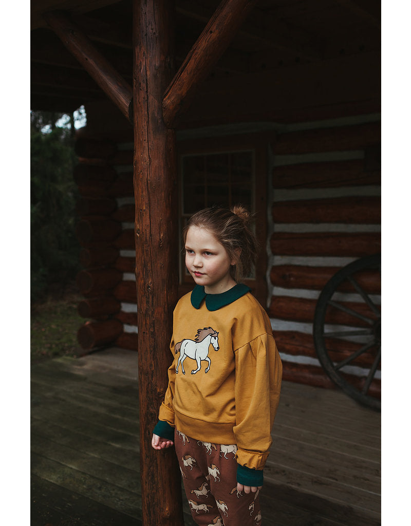 Wild Horse Sweater - 1-2 Years