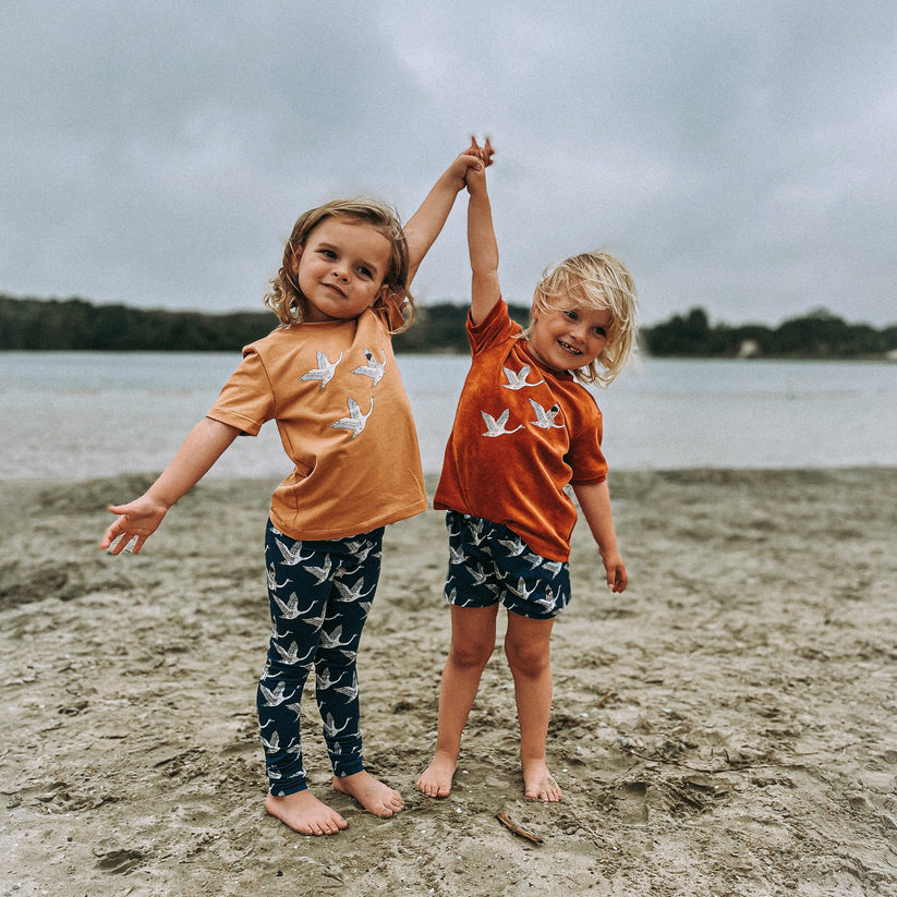 Swan T-Shirt - 8-10 Years