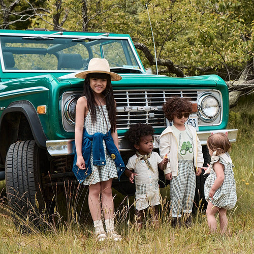 Gingham Flutter Baby Linen Romper - 6-12 Months