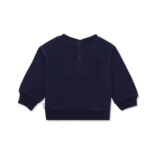 Love Mother Earth Sweatshirt Navy-Multi - 3-6 Months