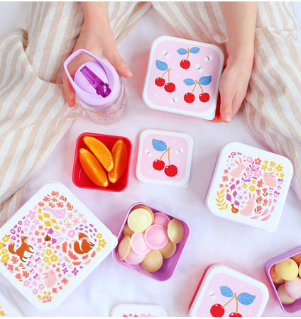 Lunch & Snack Box Set : Flower Garden