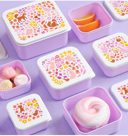 Lunch & Snack Box Set : Flower Garden