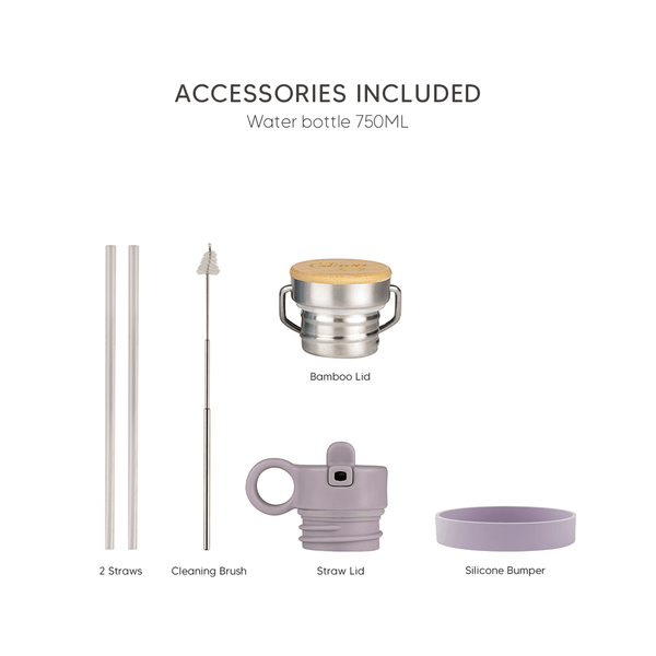 Large Water Bottle 750Ml - Purple