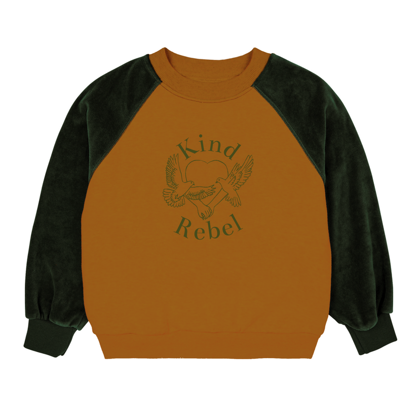 Kind Rebel Raglan - Biscuit/Green - 1-2 Years