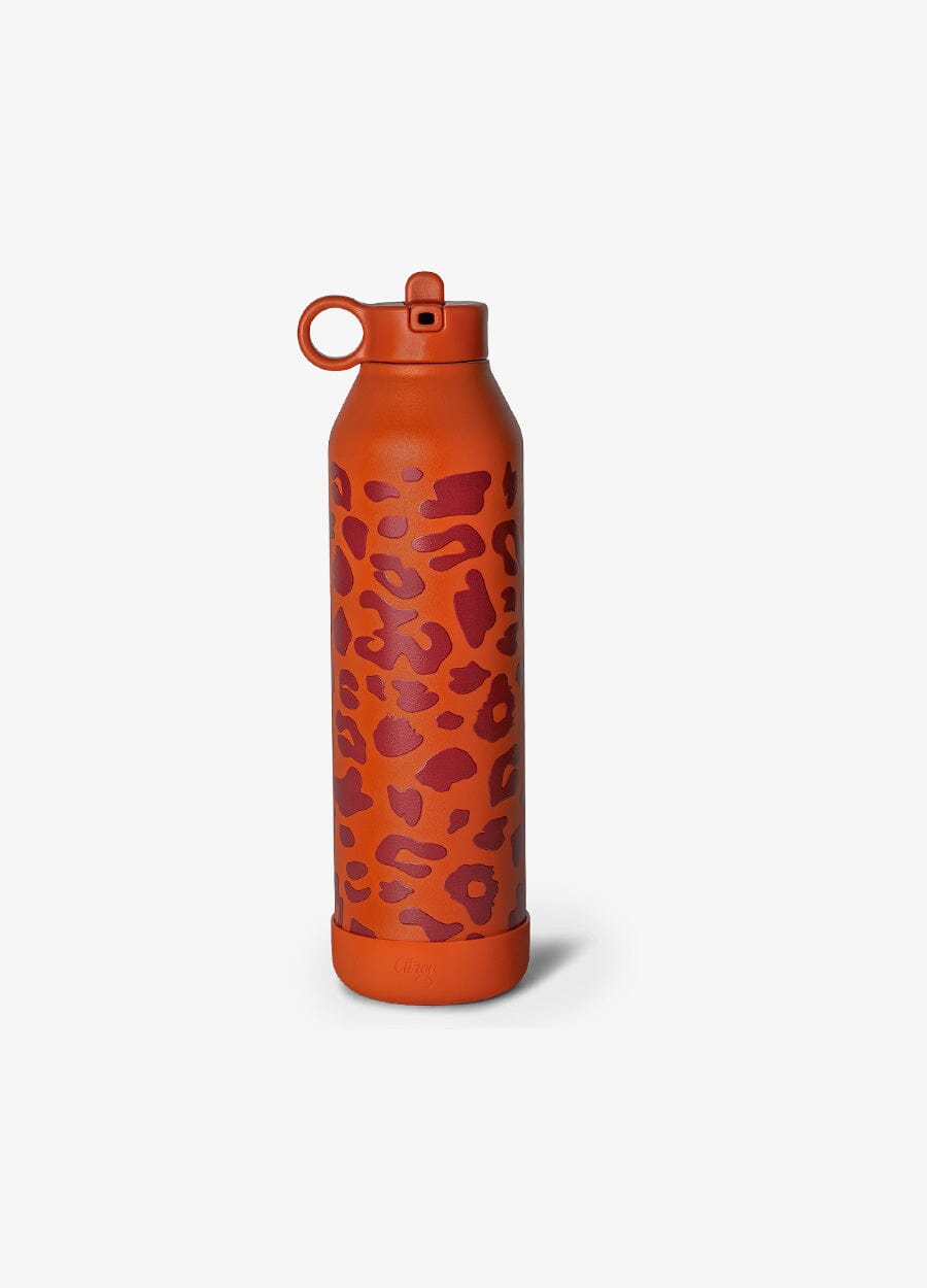 Large Water Bottle 750Ml - Leo