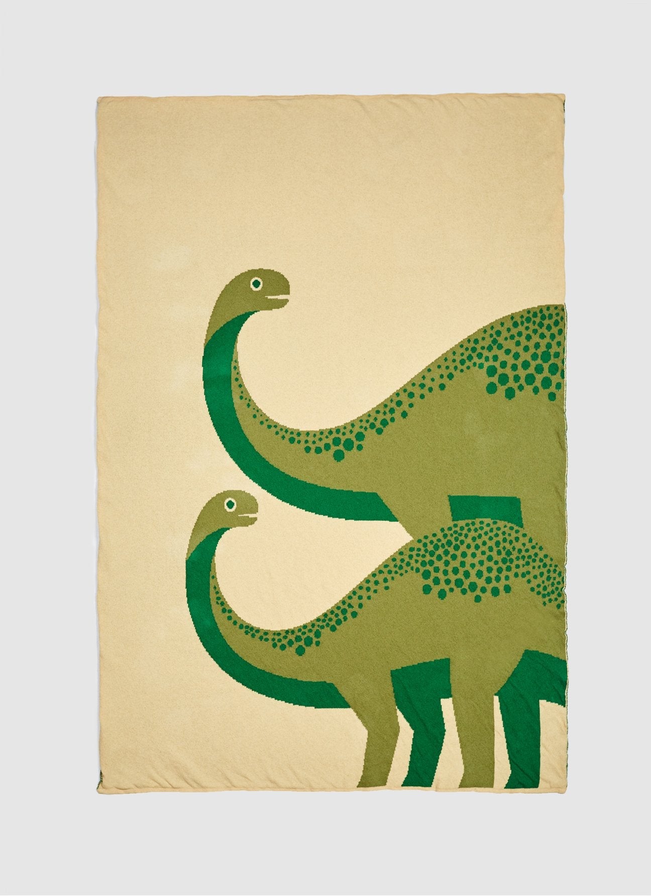 Dinos Blanket